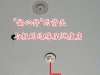 ejy004