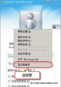 msn02.jpg