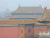 榕树下北京领奖之行随拍