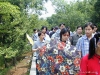 榕树下桐里笔友会
